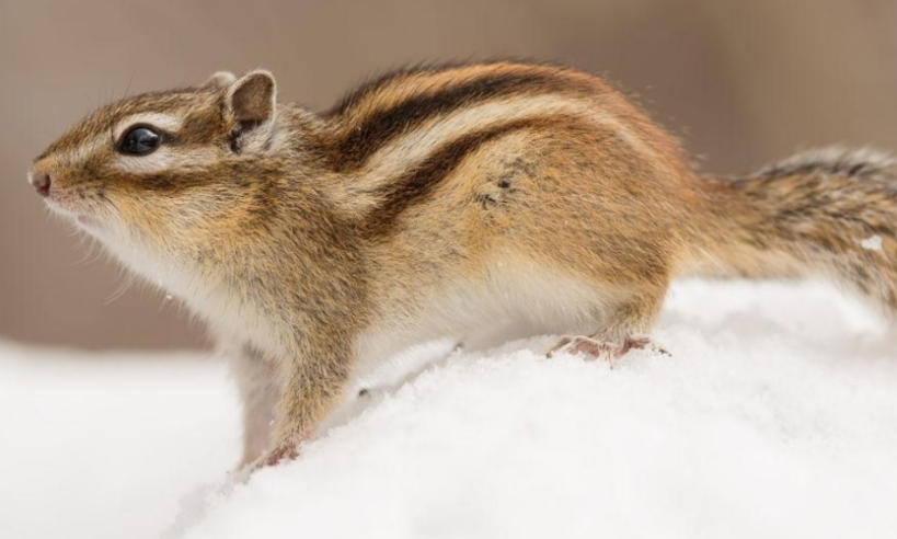 上海思诺智能科技有限公司轮播图3